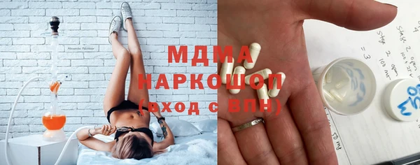 индика Инта