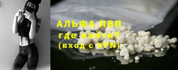 индика Инта
