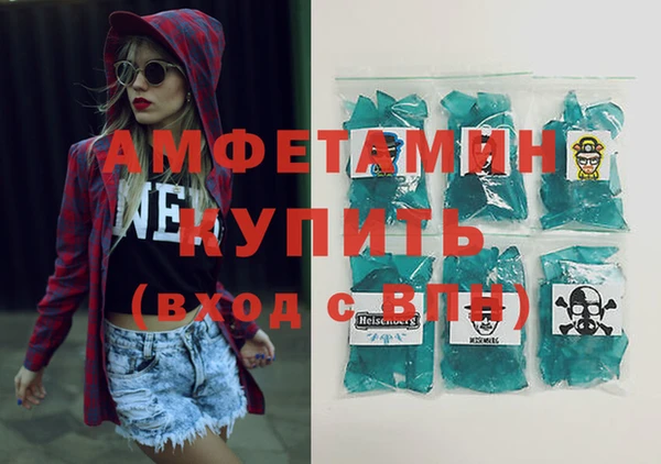 индика Инта