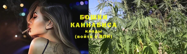 кокс Инсар