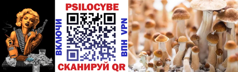 Галлюциногенные грибы Cubensis  Купить  Приозерск 